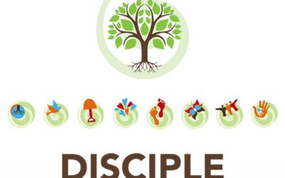 Get an online discipleship assessment