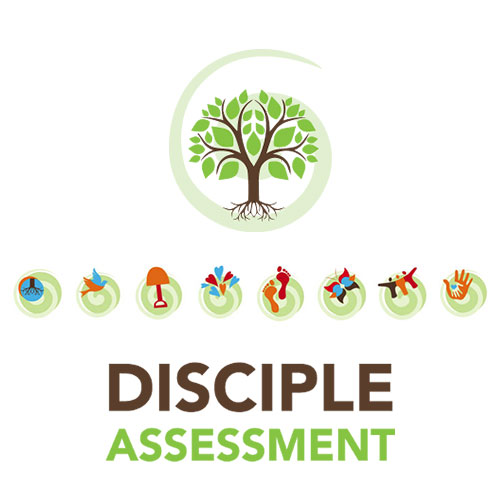 Get an online discipleship assessment
