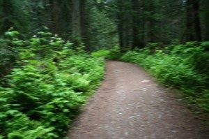 New webinar: The Missional Path
