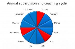 supervision-coaching-pie-chart-e1467062753577