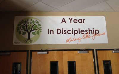 What could you do with these discipleship guides?