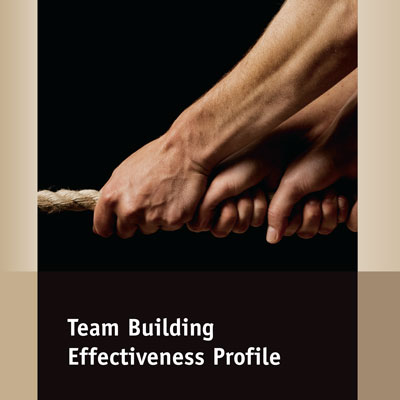 Team Building Effectiveness Profile