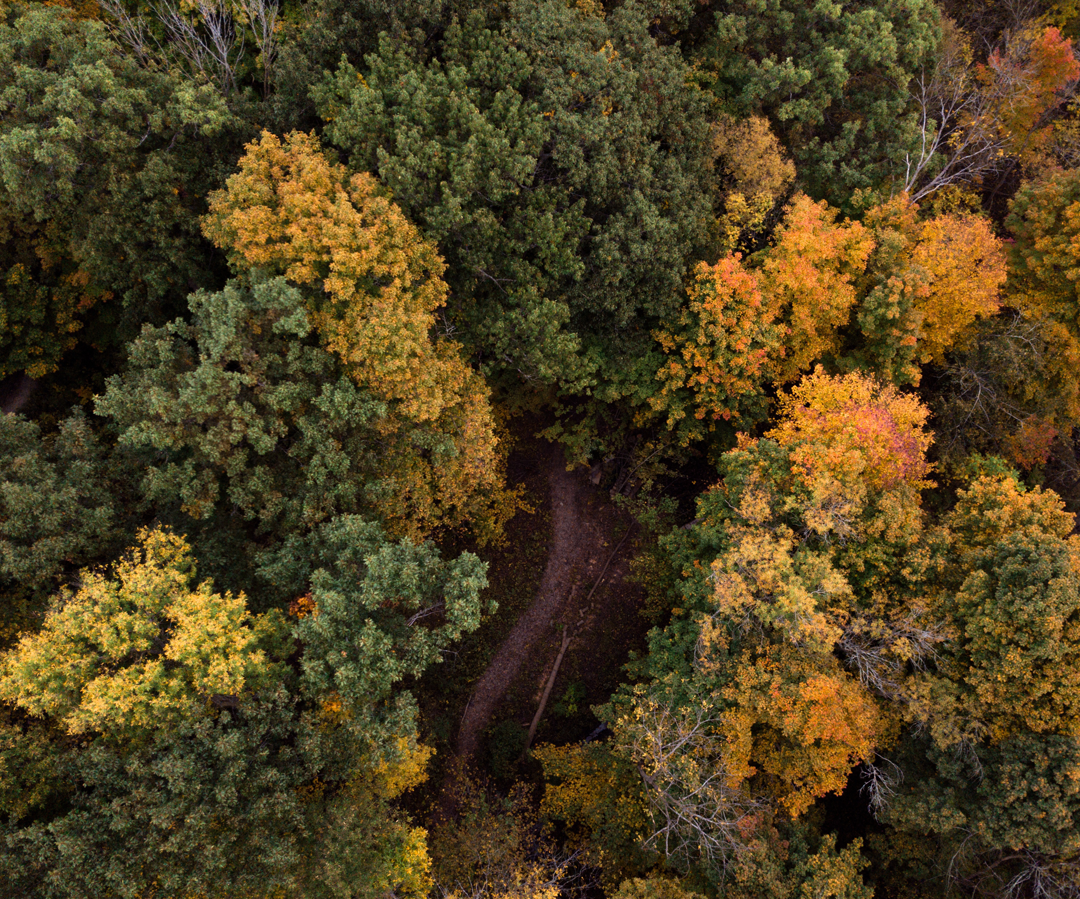 What has changed and what has not… in the world of church planting