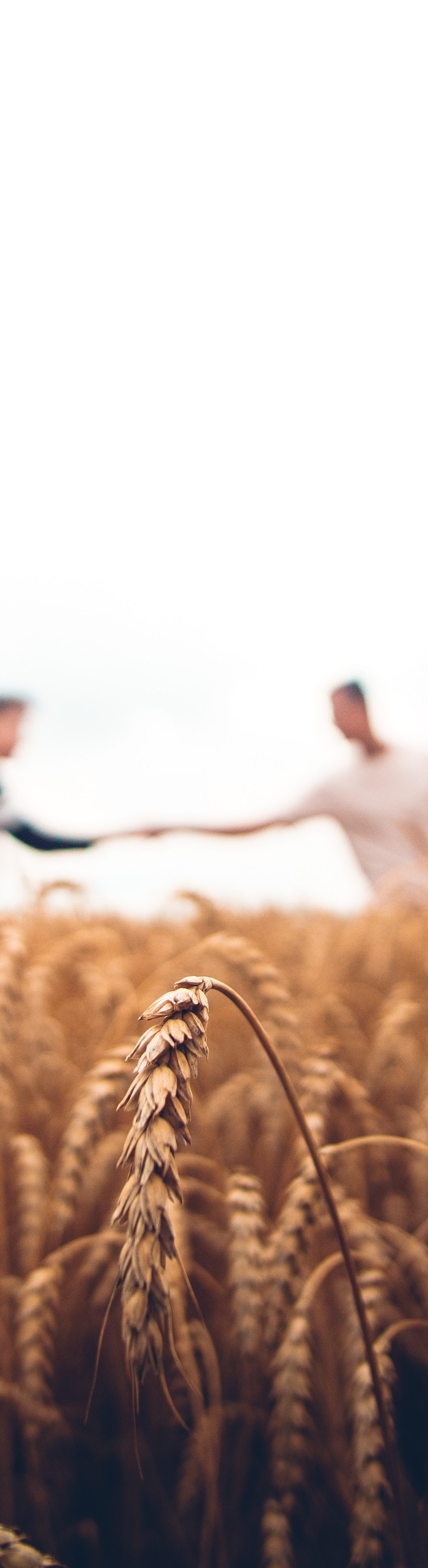 The non-negotiable mandate for all church planters