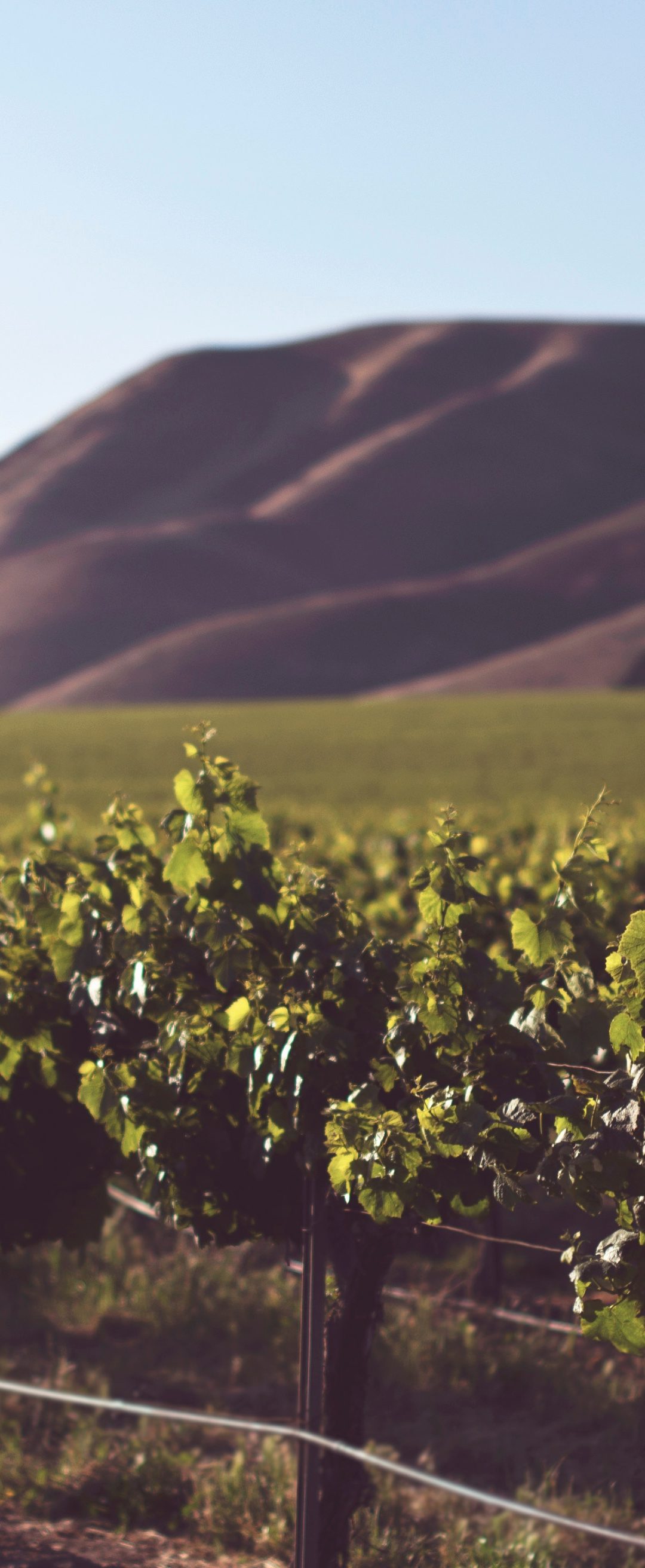 Sustainability — in farming and in ministry