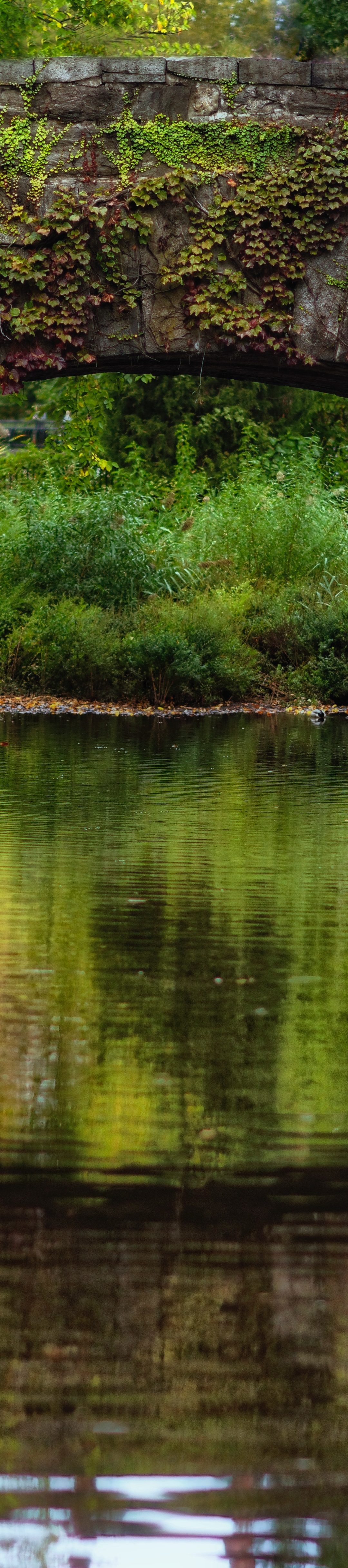 What comes after Alpha? Beta