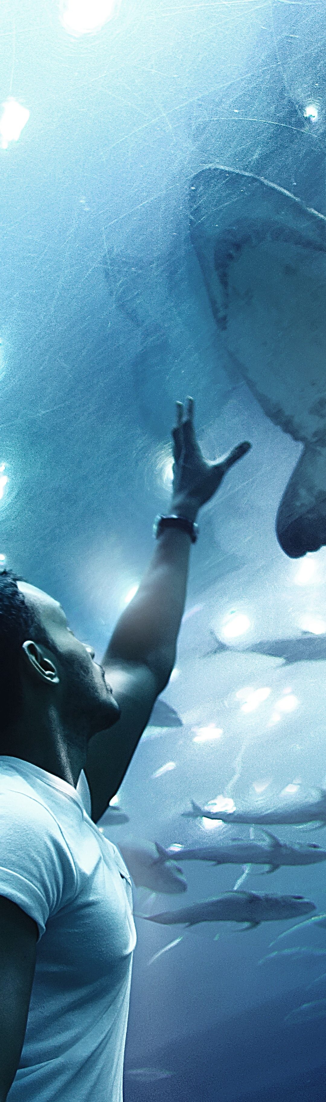 Shark Tank for ministry leaders