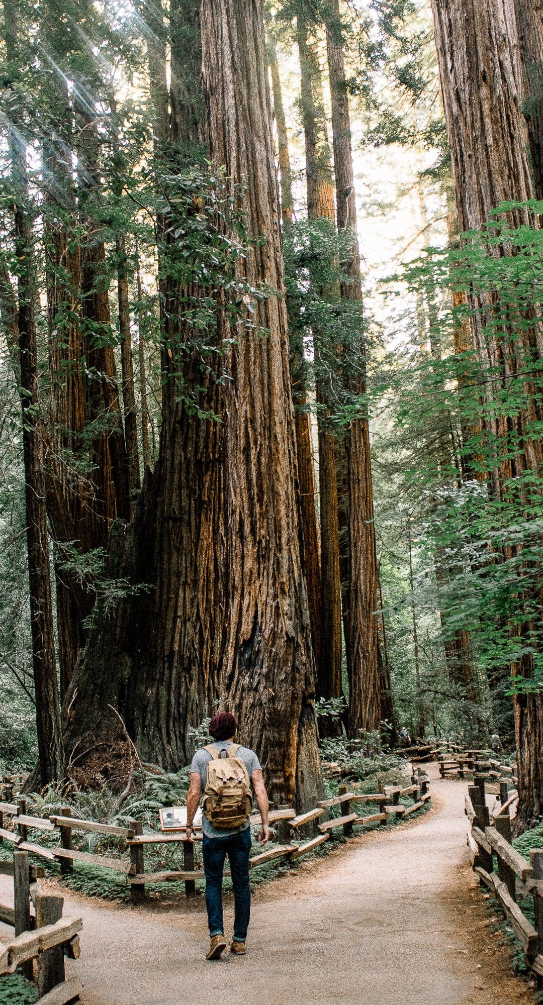 How to move forward when everything changes daily