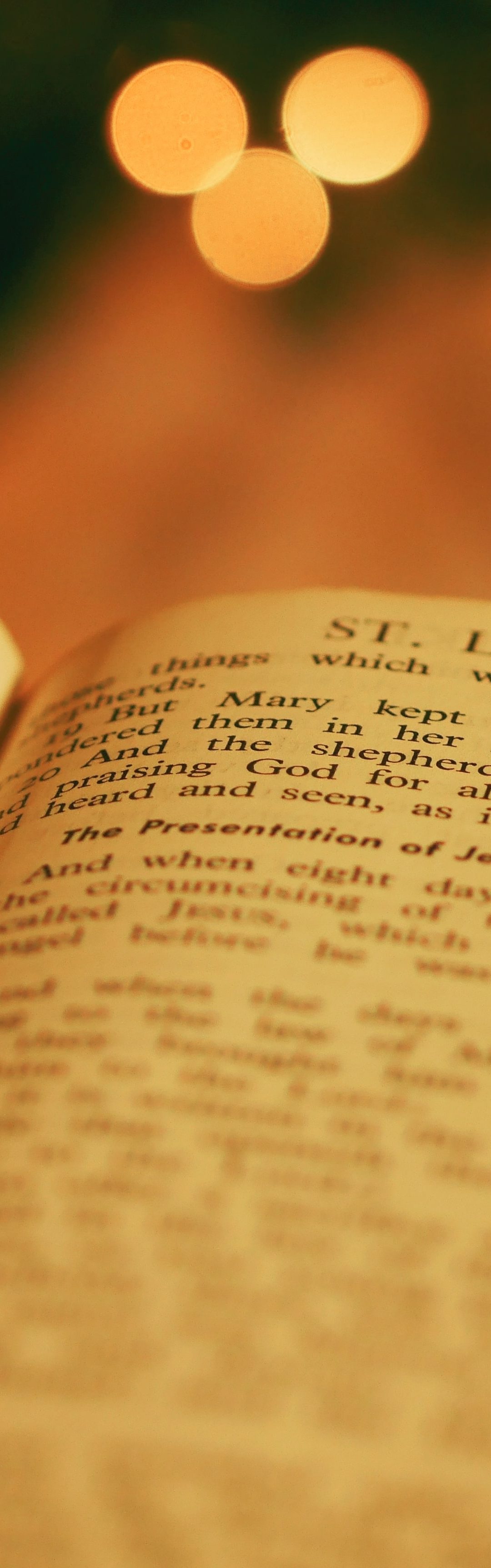 Christmas reflection: The Kingdom of God and Peace on Earth