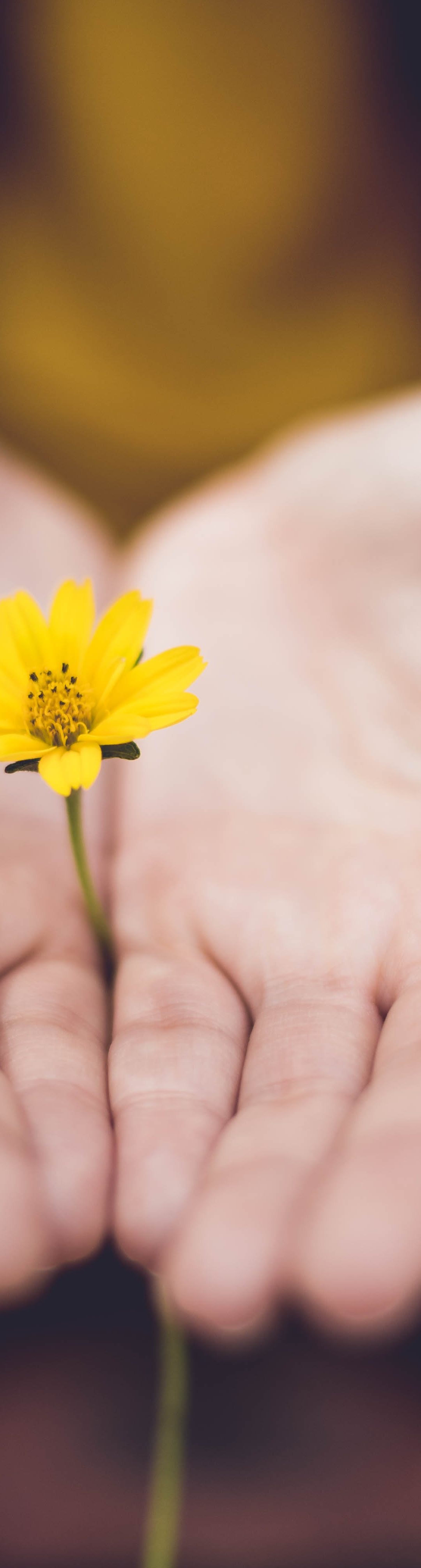 Helping people understand their spiritual gifts mix