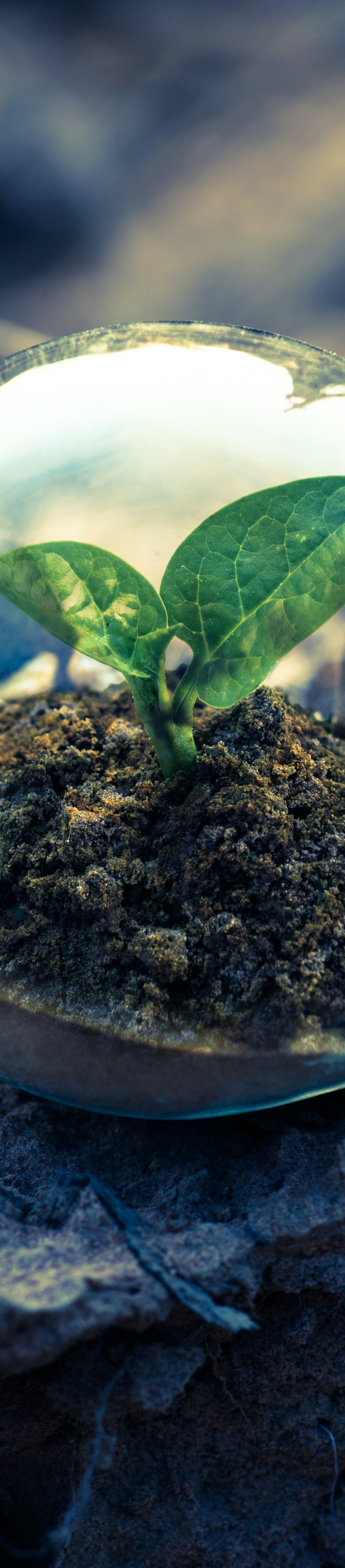 Christian coaching vs. ICF coaching: Personal Assessment and Focus