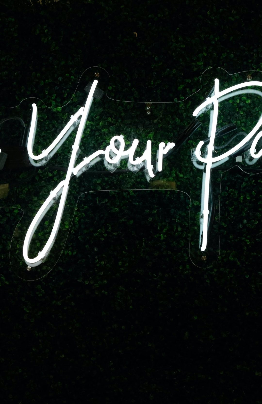 New resources on the horizon!