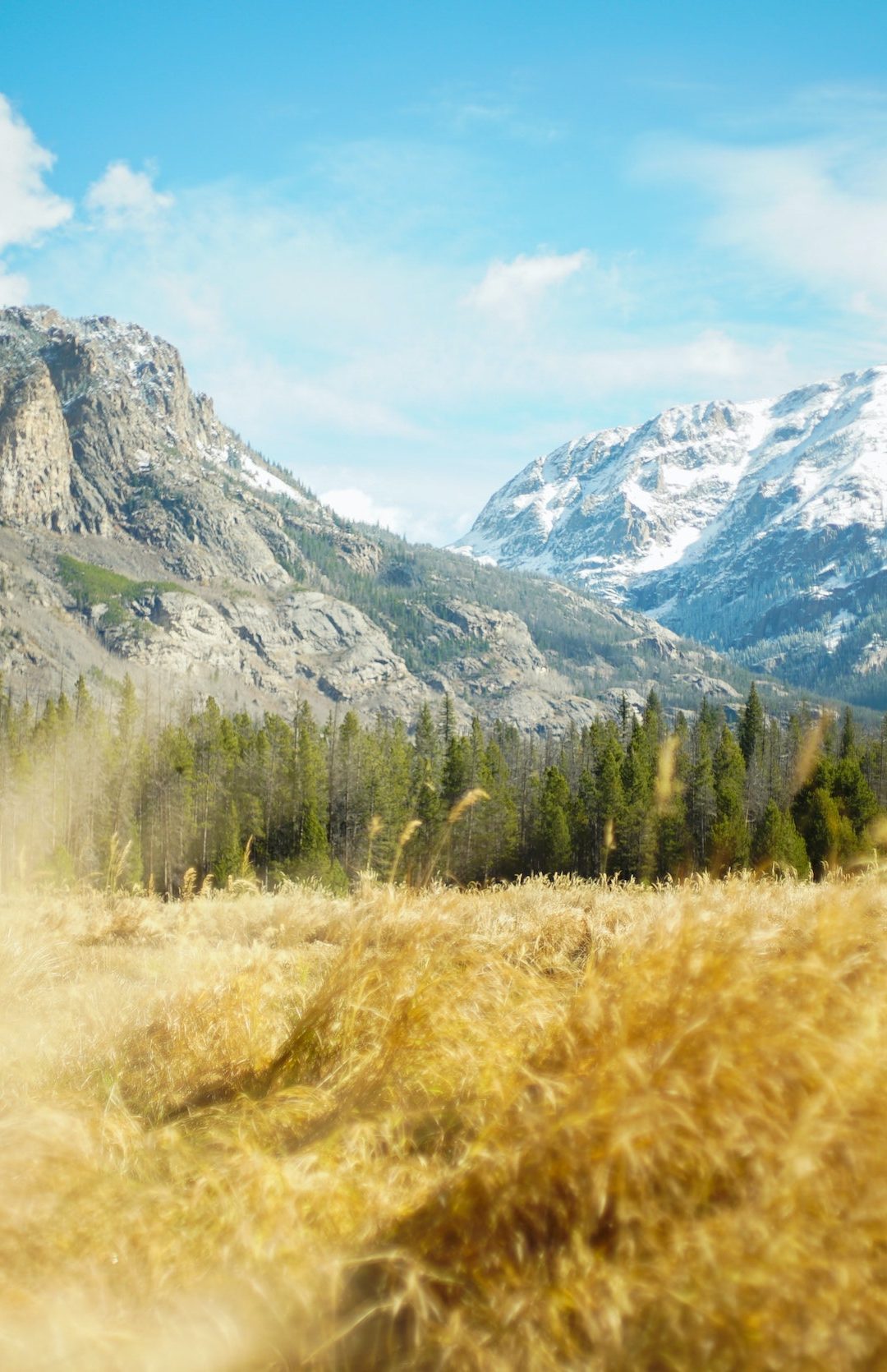 Leadership Principles vs. Methodology