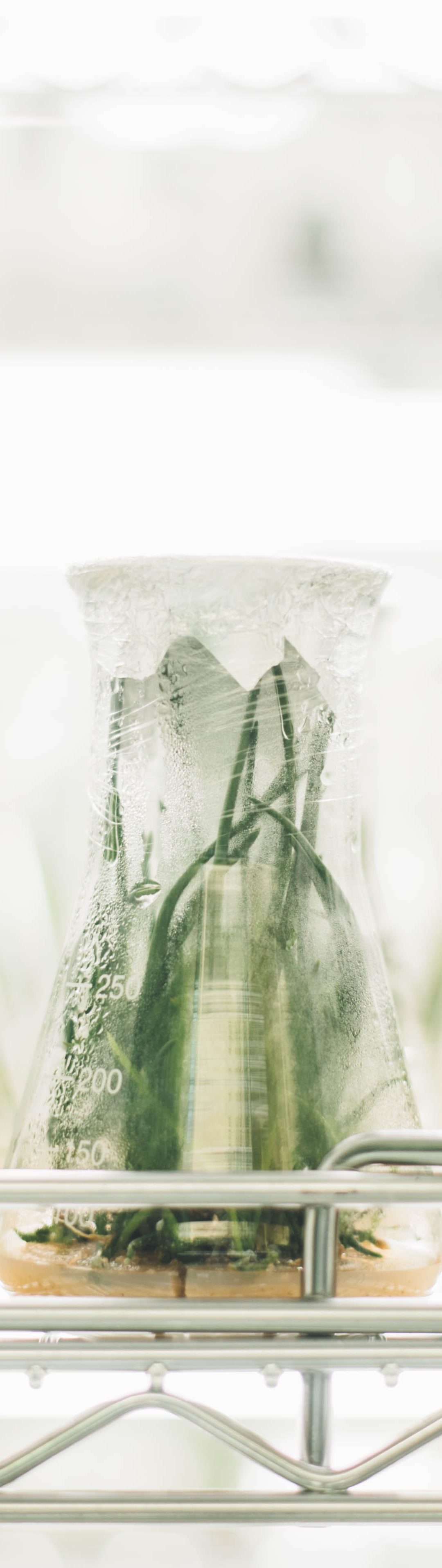 Conducting Ministry Experiments