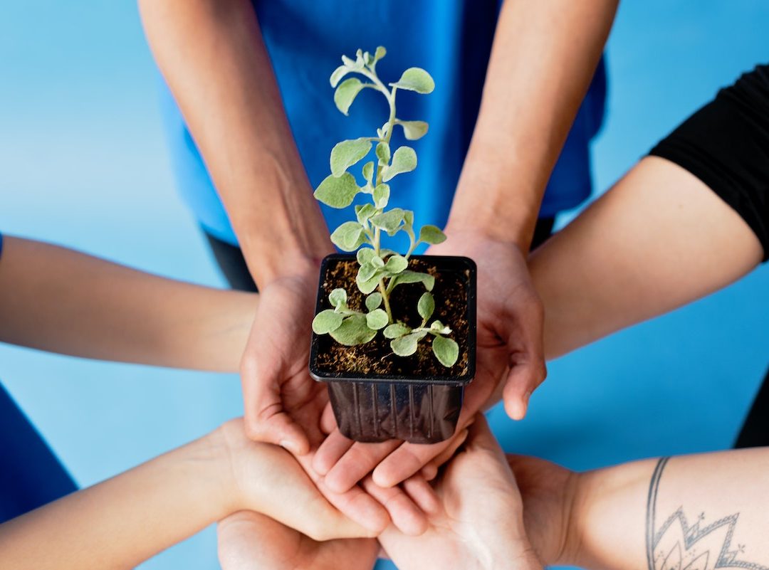 Imagine your people using their spiritual gifts