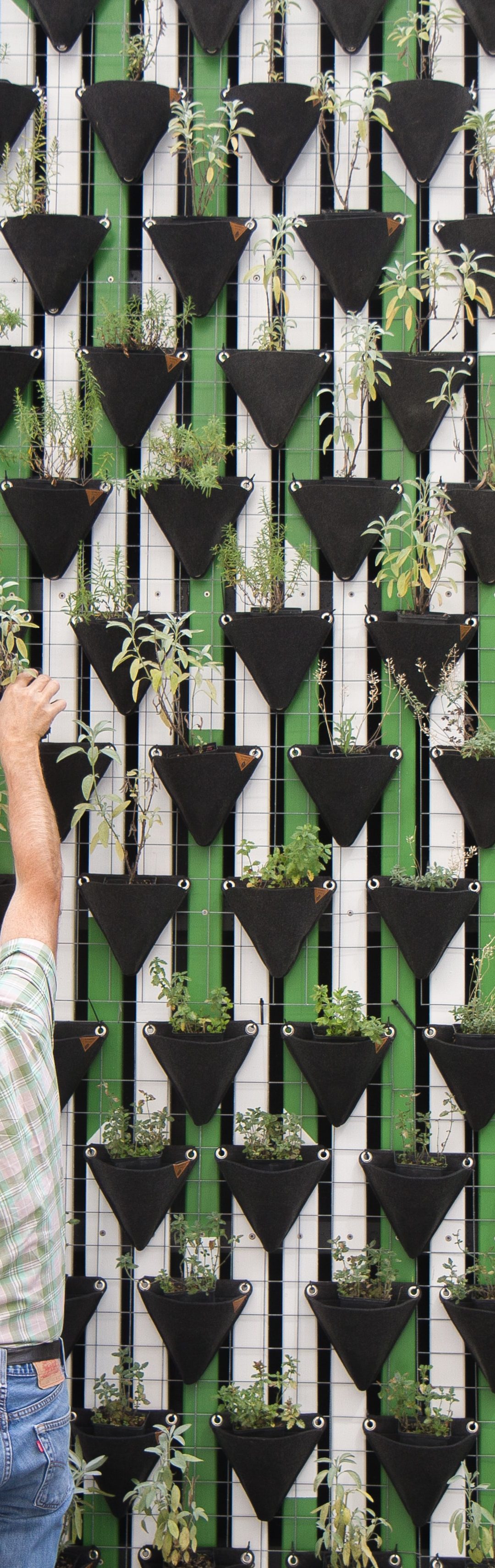 Is your church organized for healthy growth?