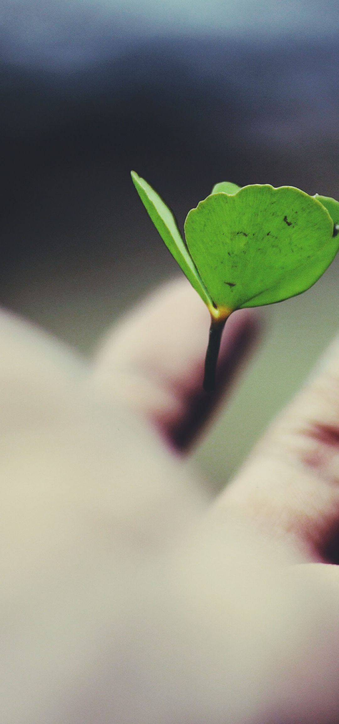 How are you investing in self care this summer?