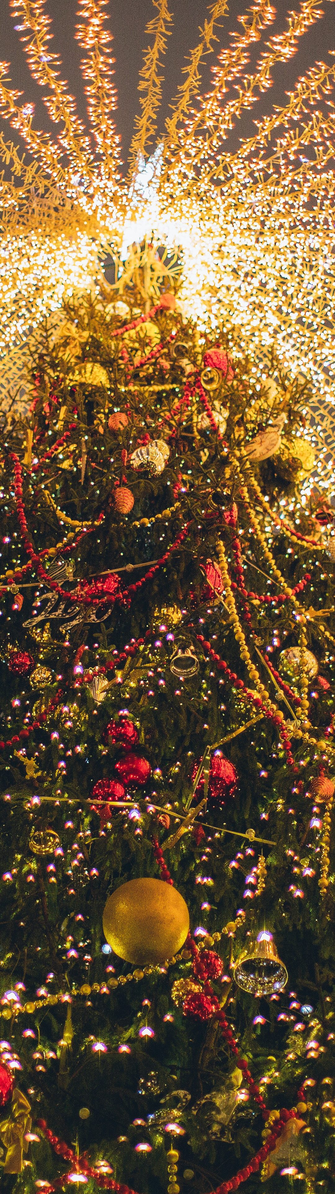 4 Unexpected Routes to Joy