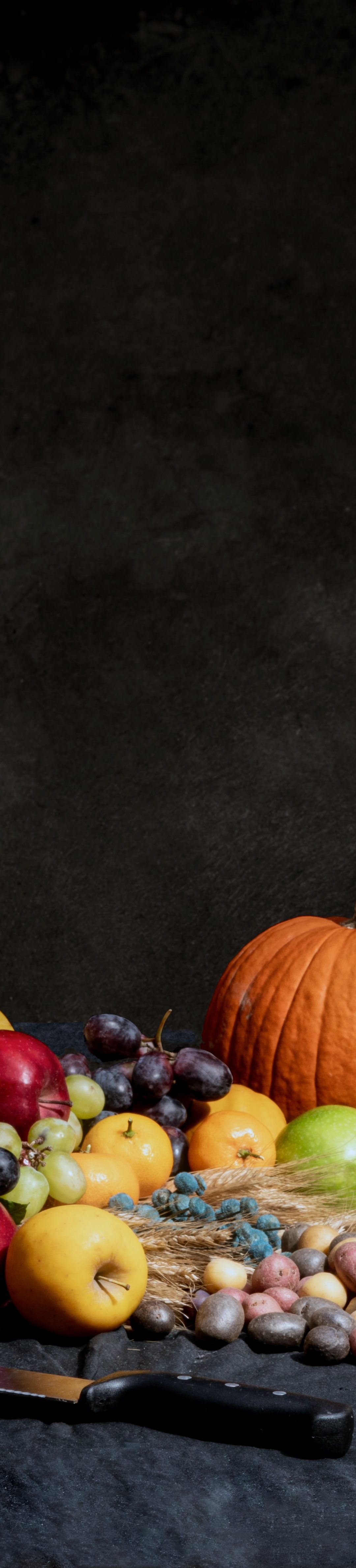 5 ways you made a difference this year