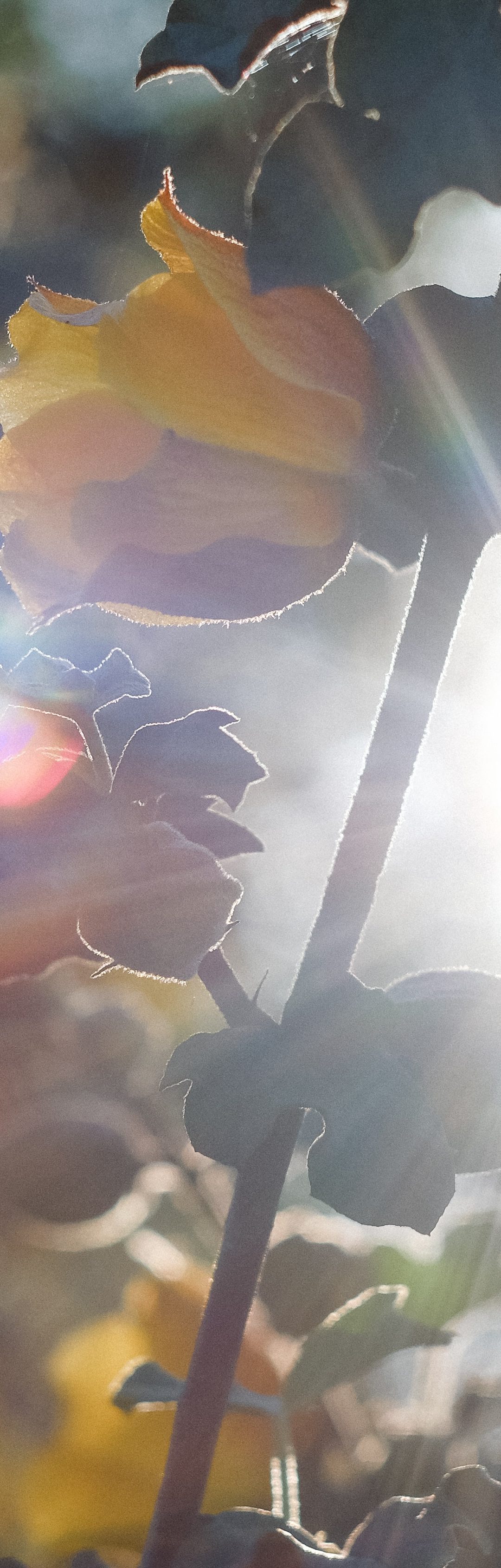 Are you seeing transformation?