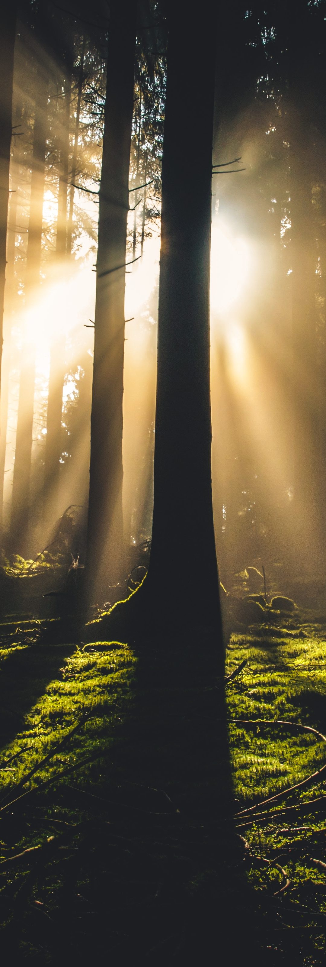 Is church feeling dry? Here’s what’s missing…