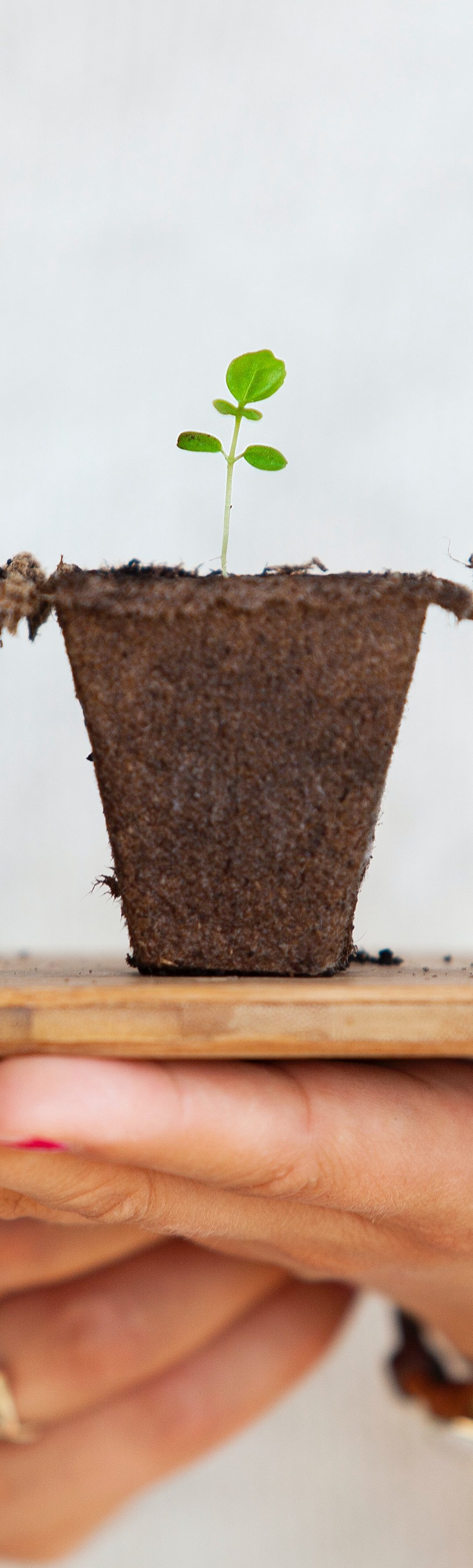 What does healthy discipleship look like to you?