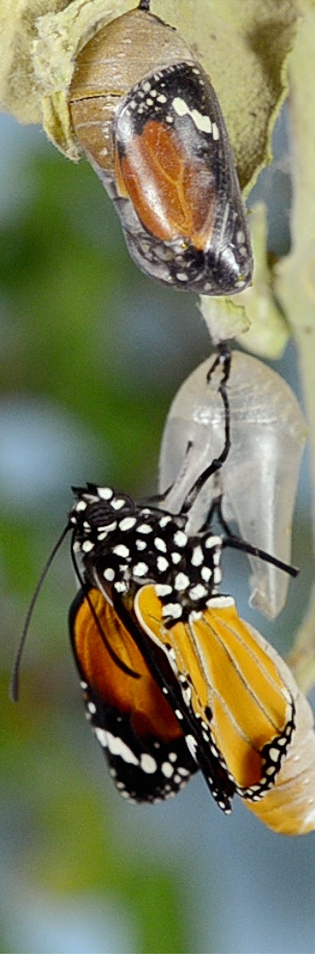 Who is in your corner during transitions? 