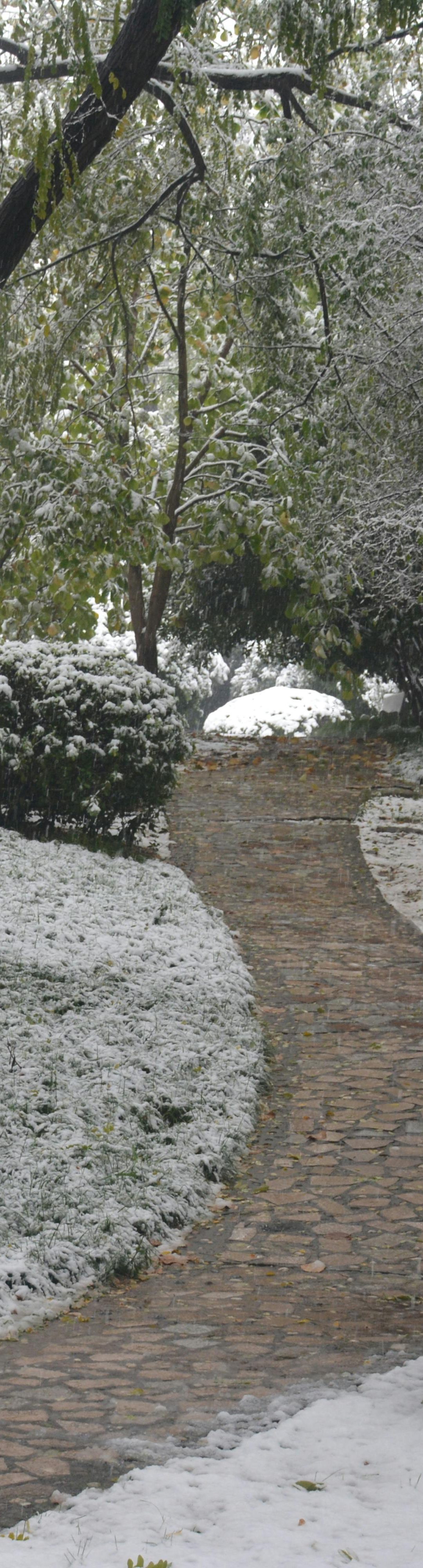 5 Questions to Ask in December to Start the New Year Strong