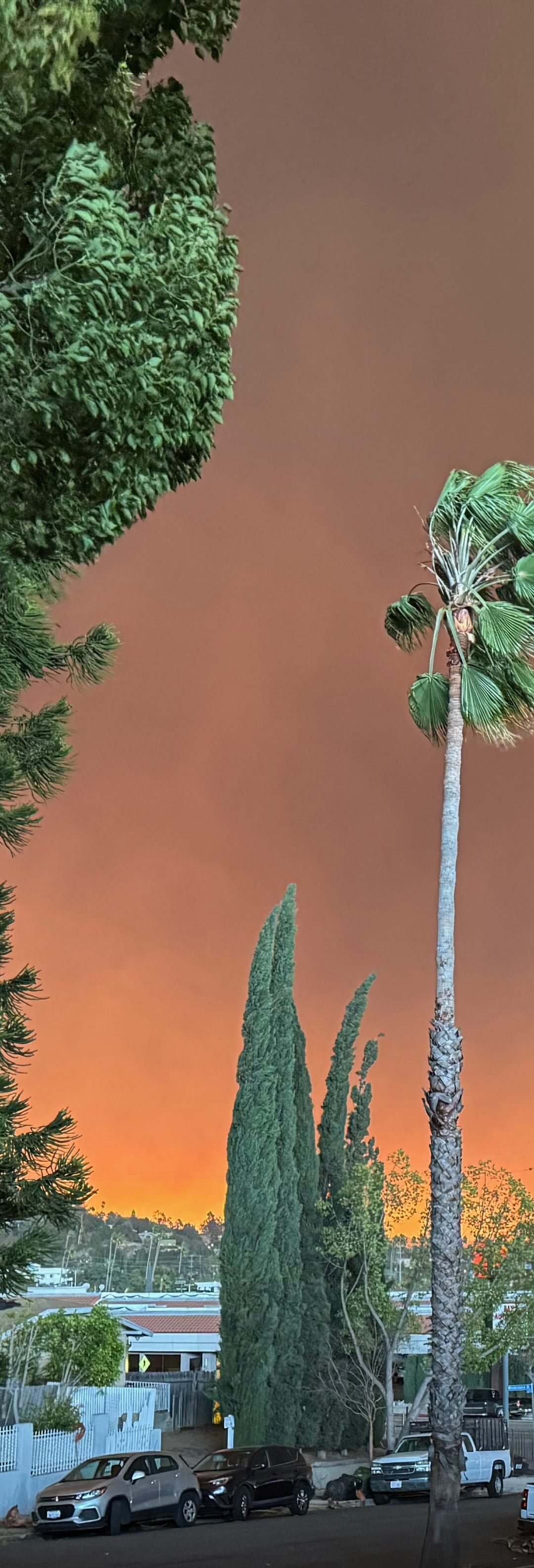 When Disaster Strikes