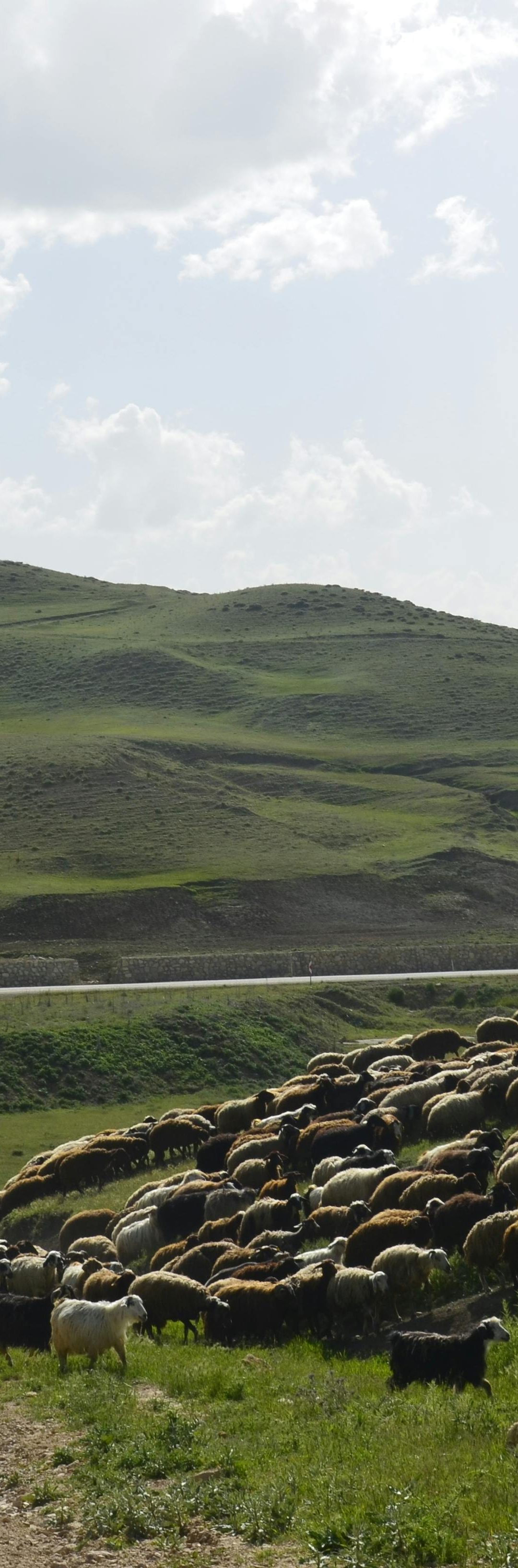 5 Ways to Boost Disciplemaking in Your Church