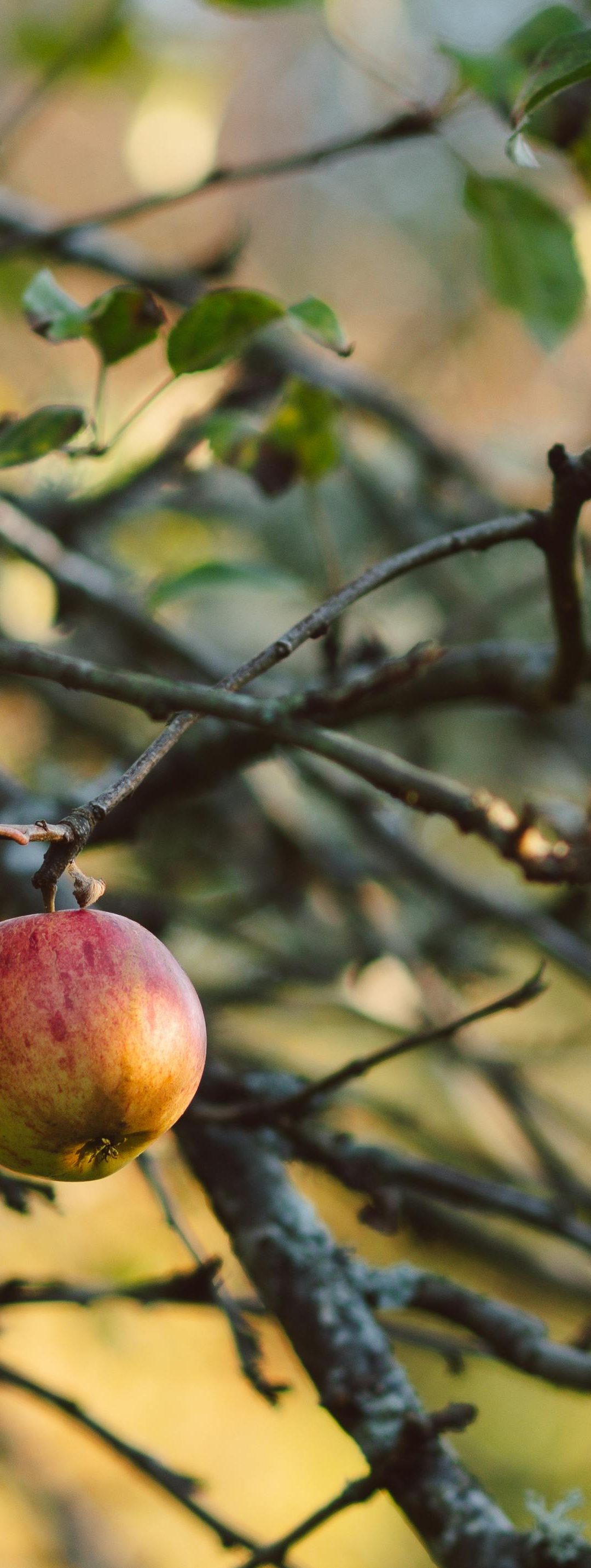 When Discipleship Starts to Stall